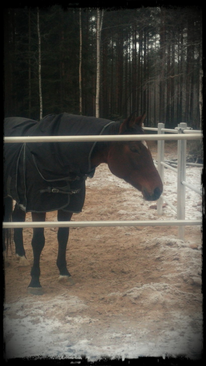 CAM02014_Vignette_Cornered