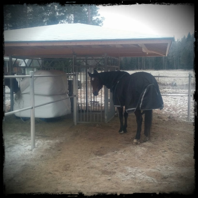 CAM02020_Vignette_Cornered1