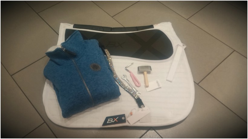 CAM02044_Vignette_Clean