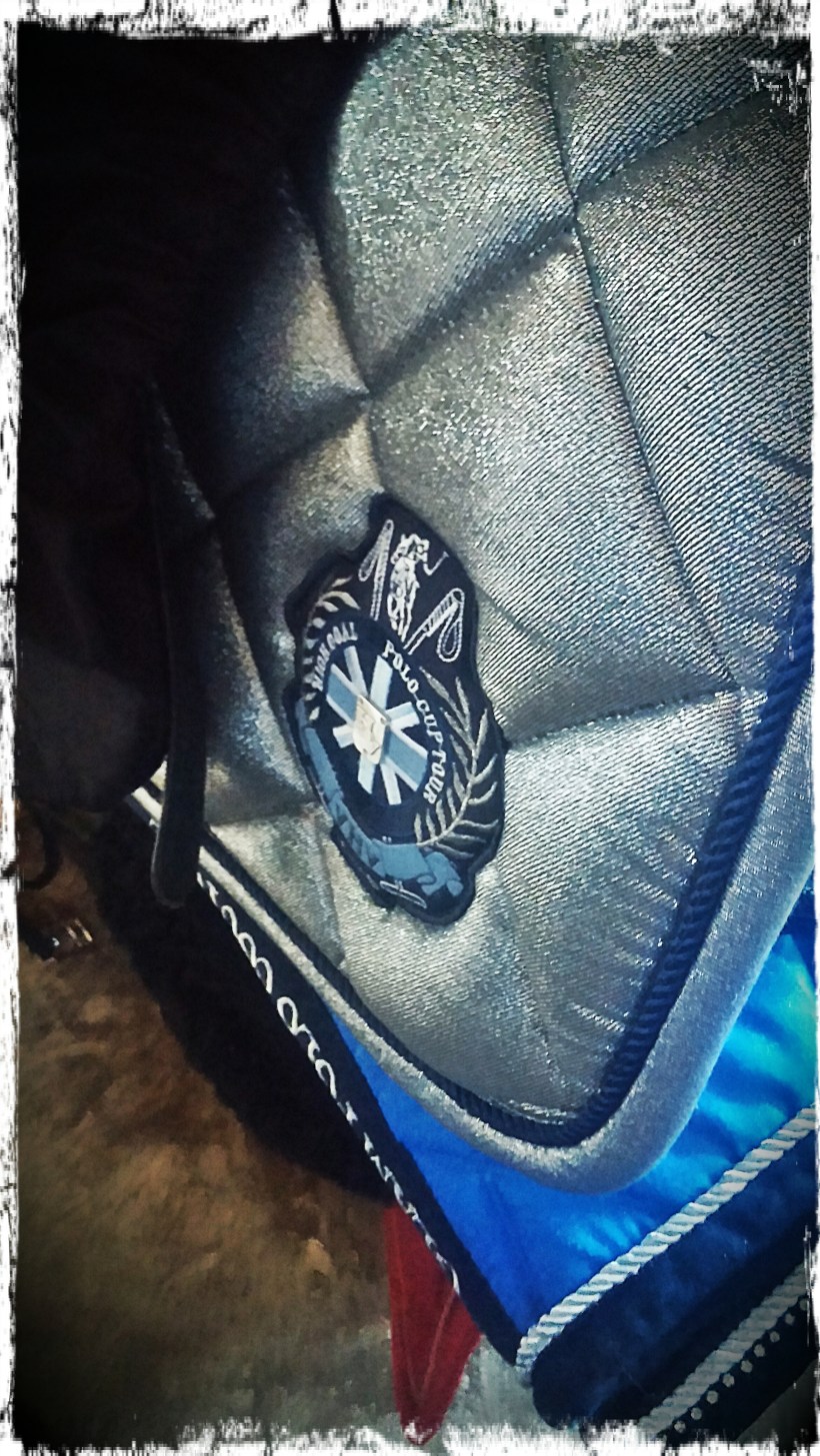 CAM02377_Hagrid_Vignette_Grunge