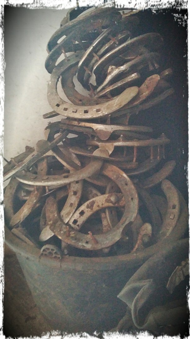 CAM02380_Hagrid_Vignette_Grunge