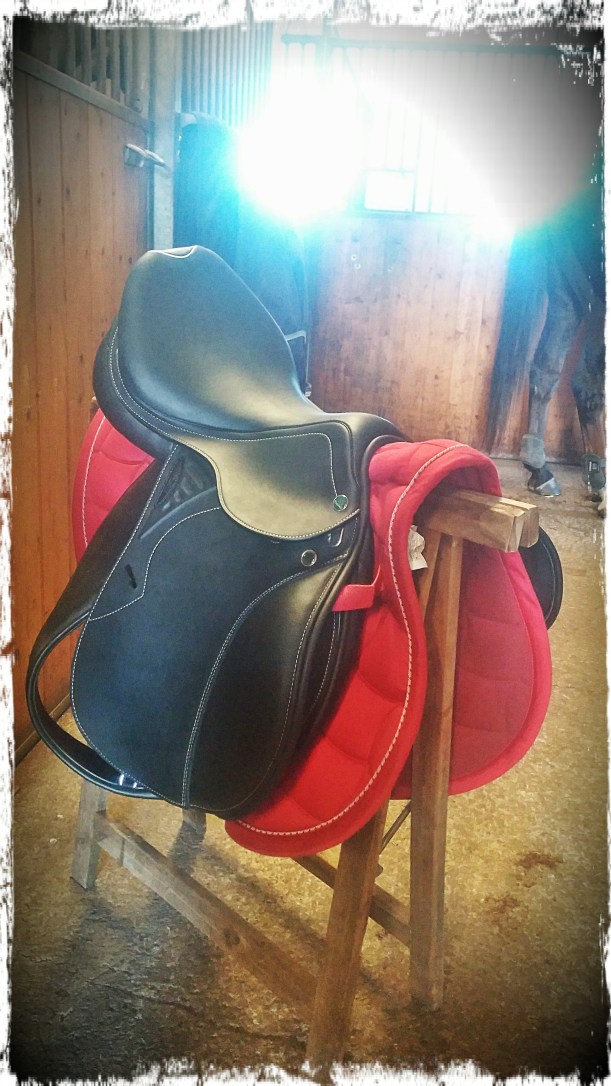 CAM02402_Hagrid_Vignette_Grunge