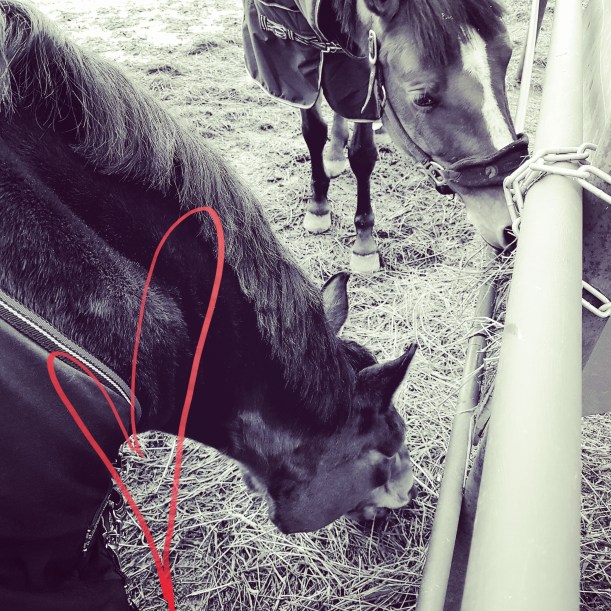 img_20161229_195039_236